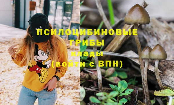 дурь Абинск