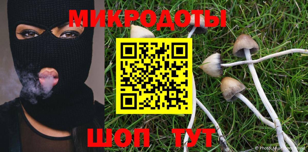Галлюциногенные грибы Psilocybine cubensis Истра