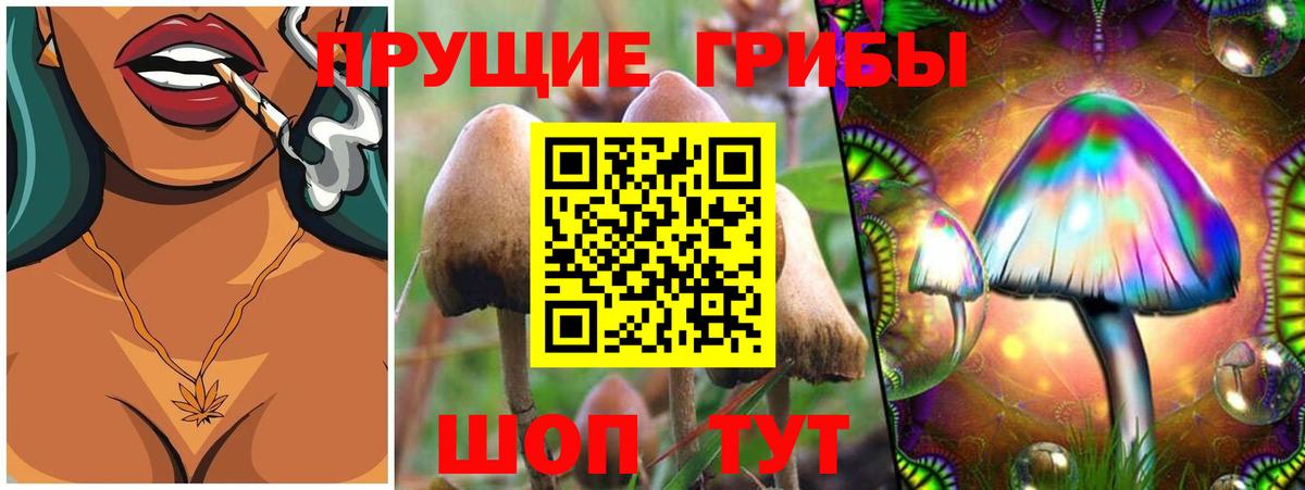 Псилоцибиновые грибы Psilocybine cubensis  Вход с VPN  Истра 